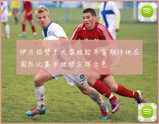 伊万称赞王大雷经验丰富期待他在国际比赛中继续发挥出色