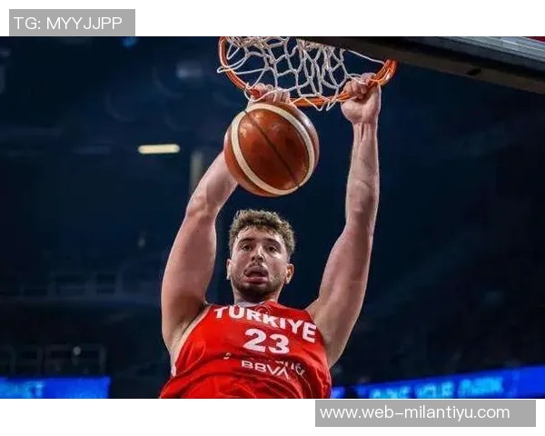 五年级数据对比申京表现优于约基奇进攻防守全面发展