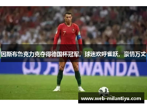 因斯布鲁克力克夺得德国杯冠军，球迷欢呼雀跃，豪情万丈