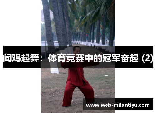 闻鸡起舞：体育竞赛中的冠军奋起 (2)